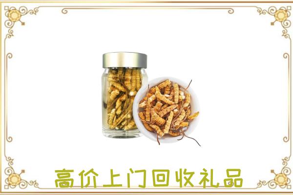 大理周边回收虫草